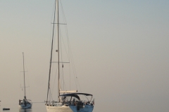 DSC05196